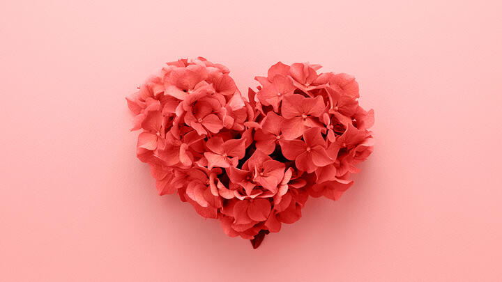 Red hydrangea flowers shaped in a heart